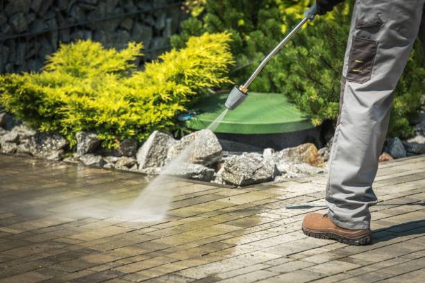 Best Roof Washing  in Livingston, TX